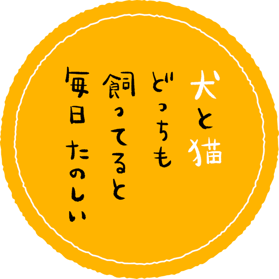 犬と猫どっちも飼ってると毎日たのしい