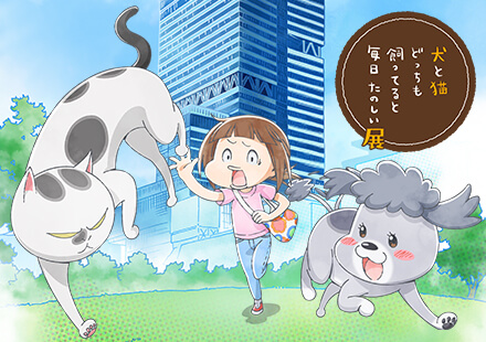 犬と猫どっちも飼ってると毎日たのしい展