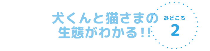 犬くんと猫さまの生態がわかる！！