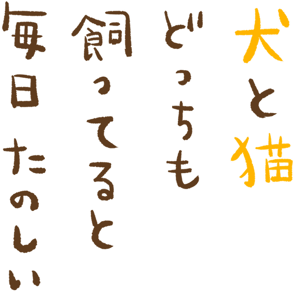 犬と猫どっちも飼ってると毎日たのしい