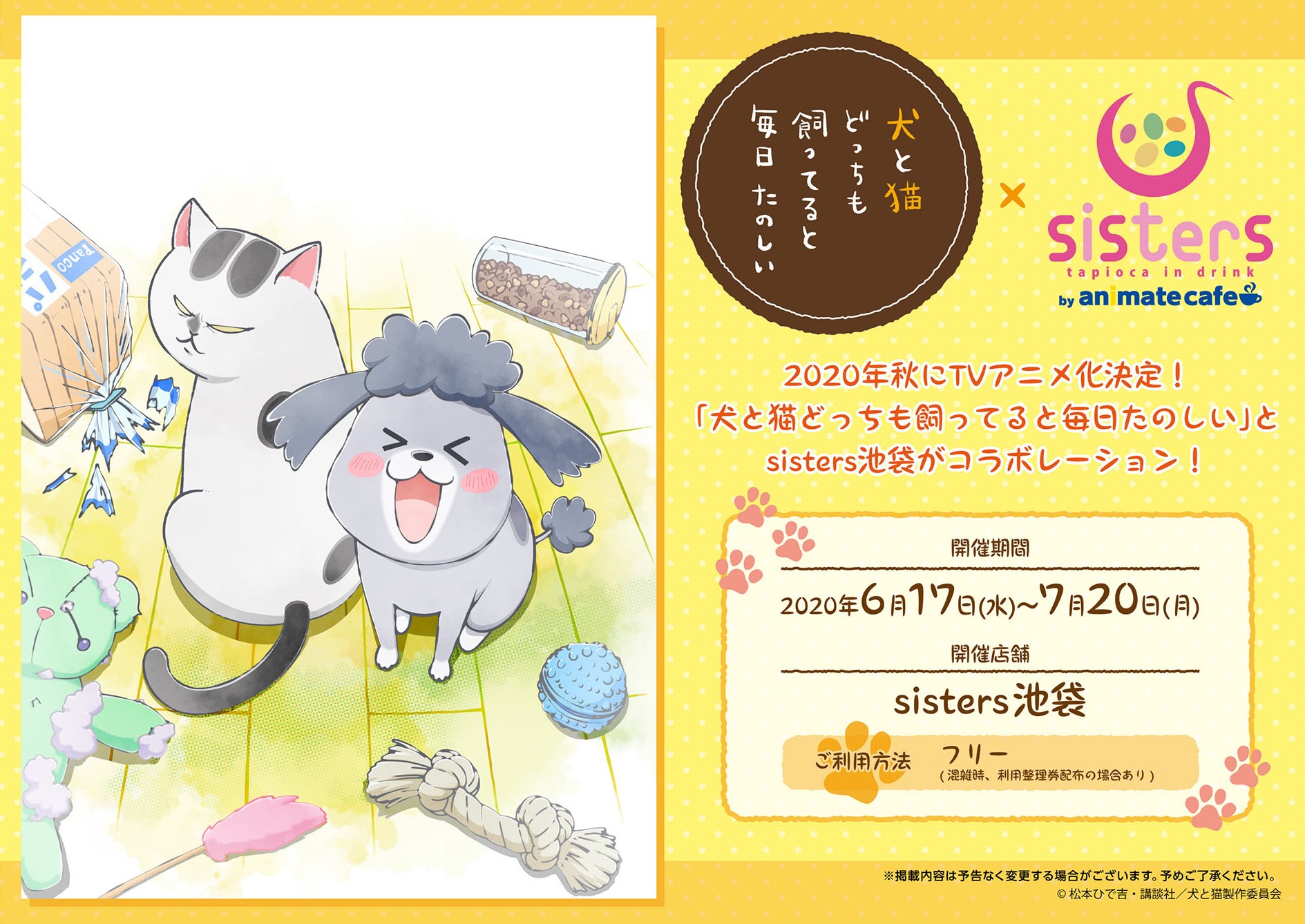sisters池袋とのコラボレーション決定！