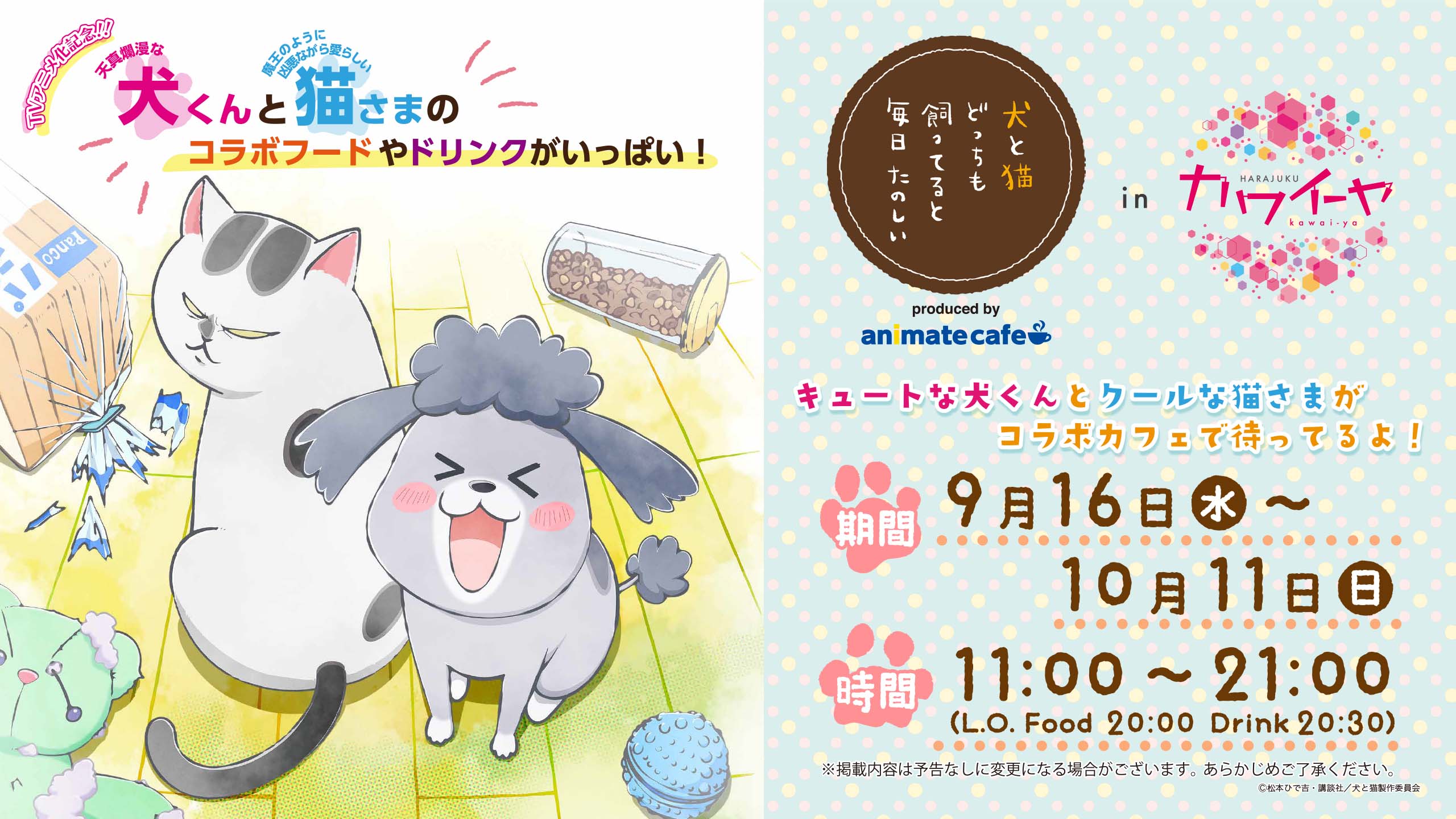 原宿カワイーヤにてコラボカフェのリバイバル開催が決定！