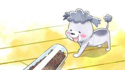 今日は出るかな