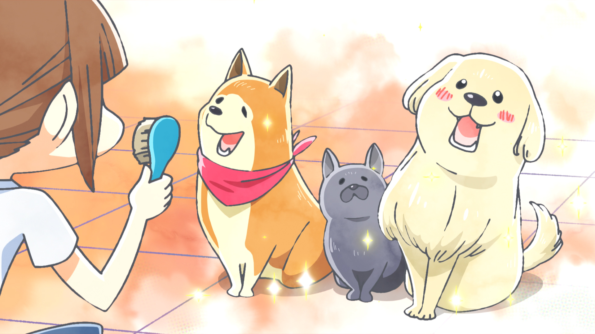 ボランティア