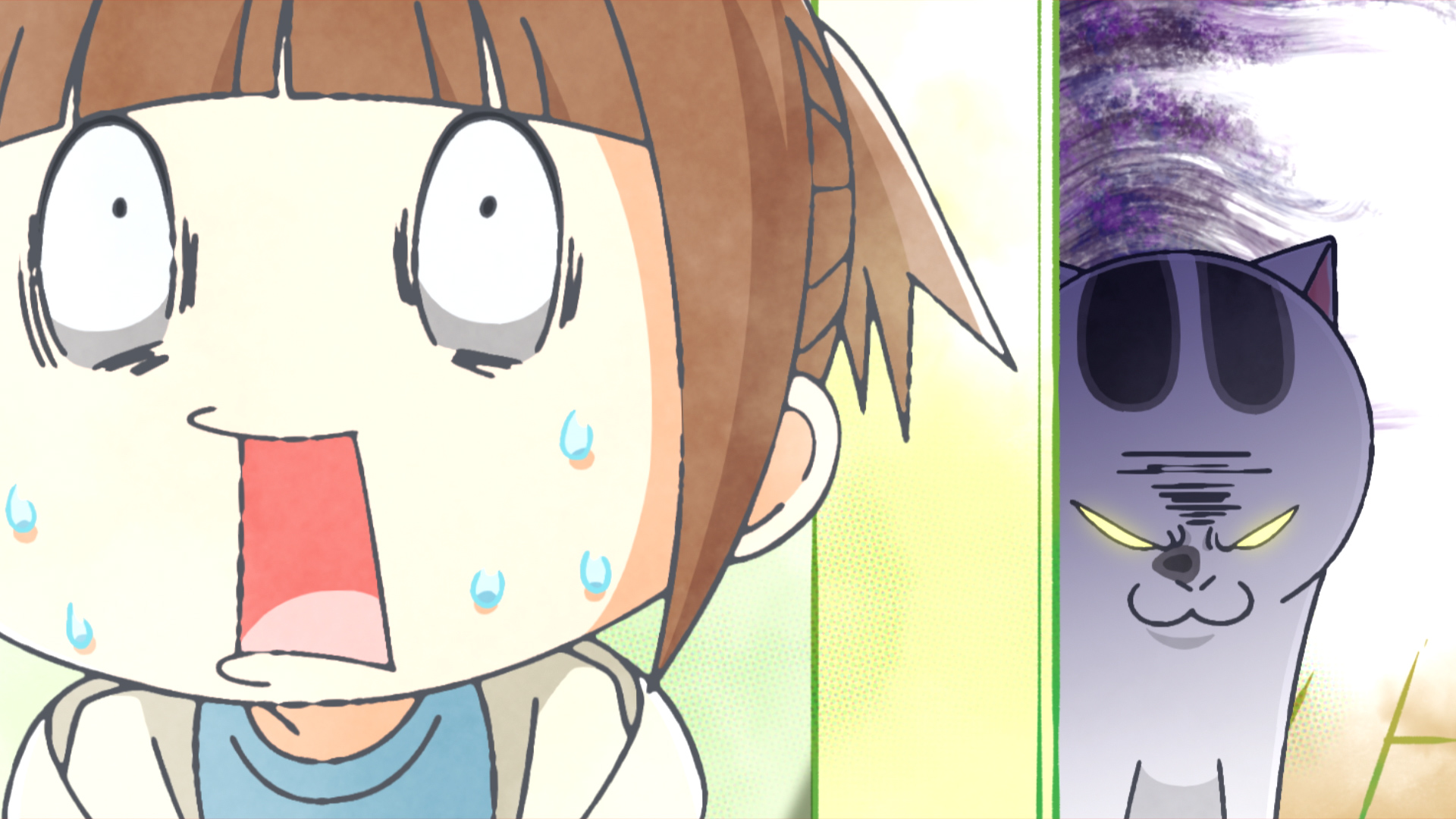 ただいま