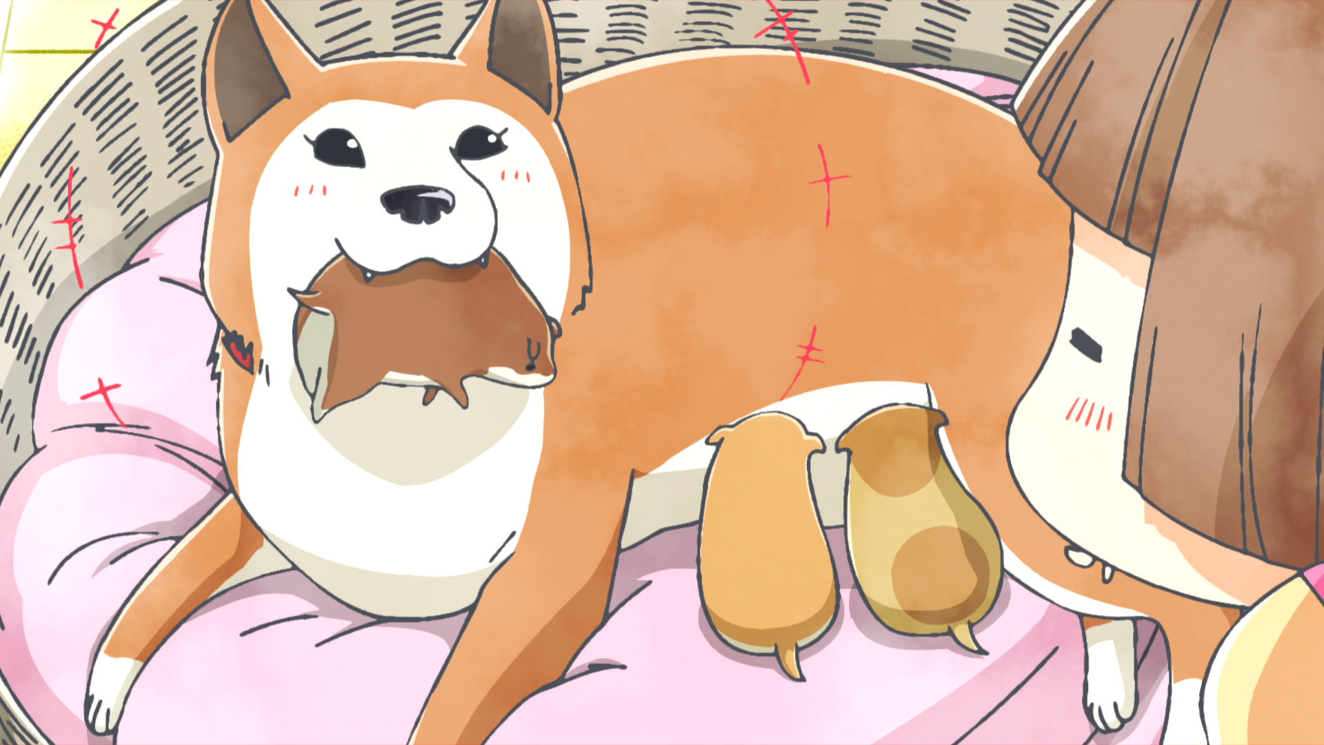 お母さん
