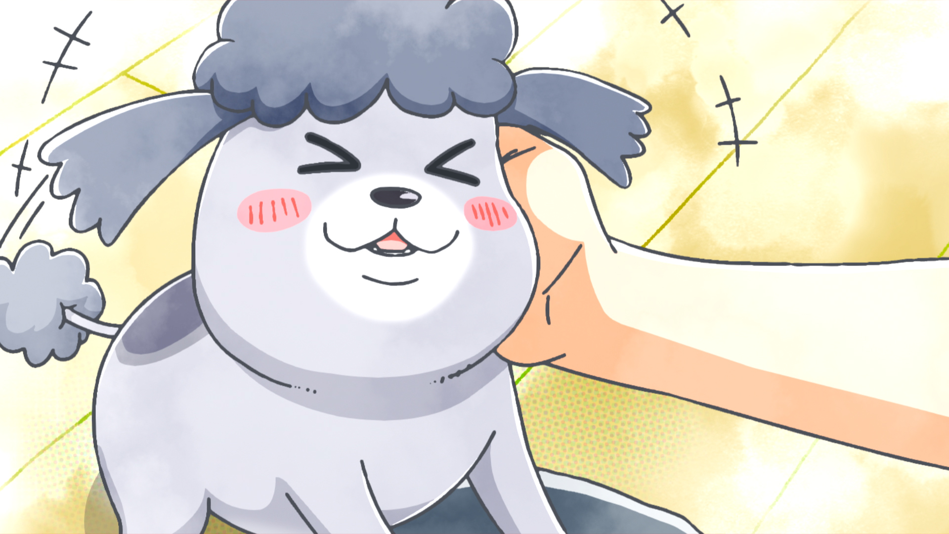 犬と猫