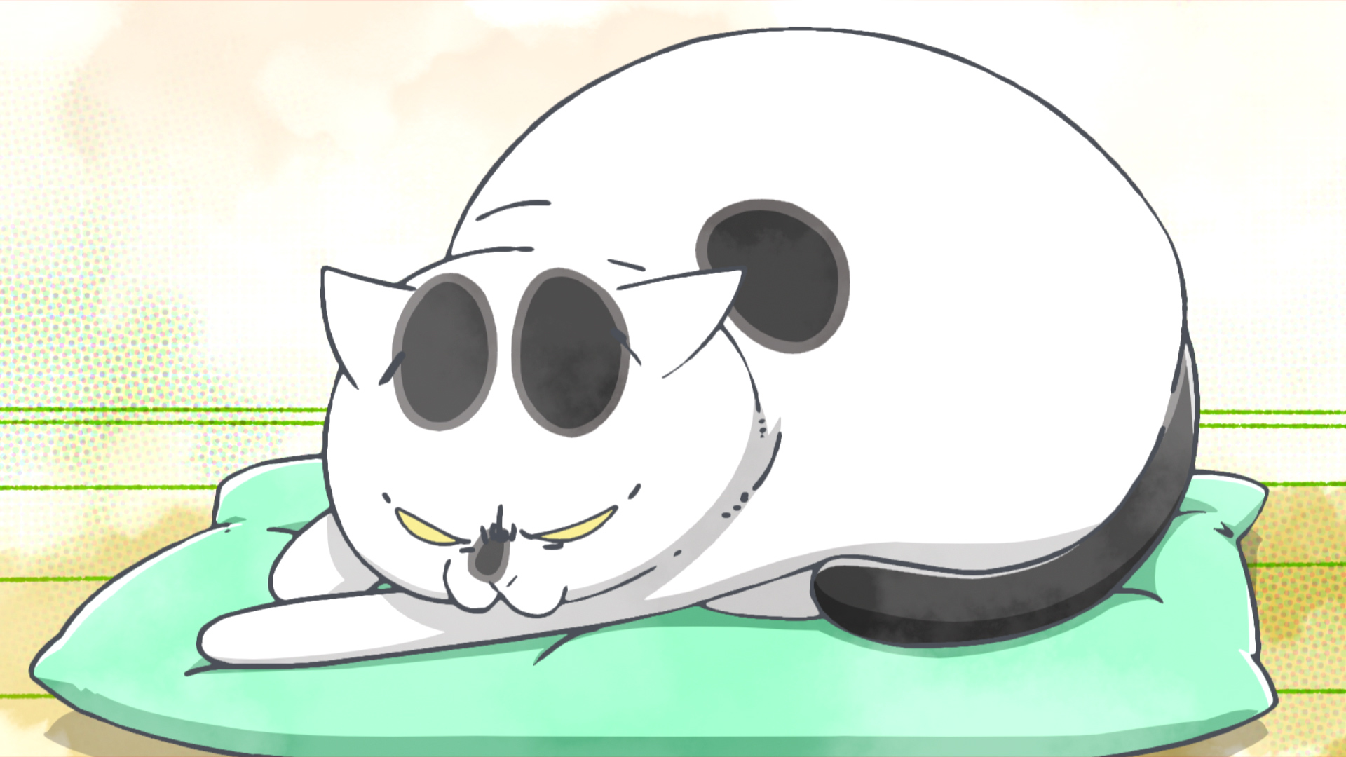 犬と猫